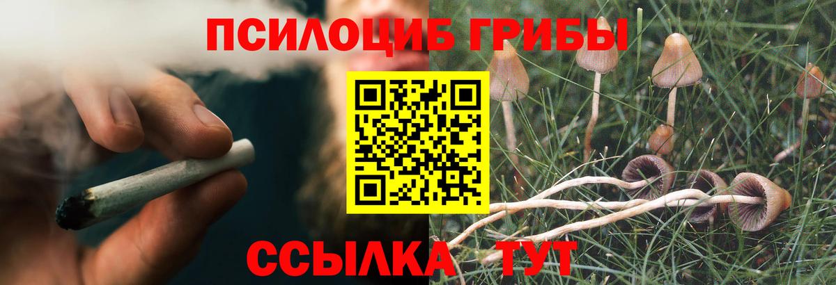 Галлюциногенные грибы Cubensis Алушта